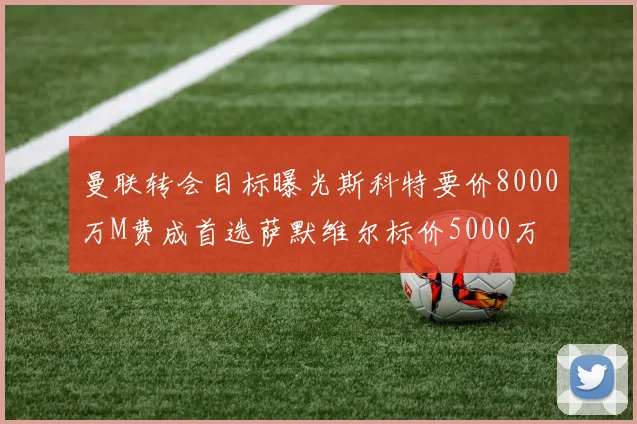 曼联转会目标曝光斯科特要价8000万M费成首选萨默维尔标价5000万